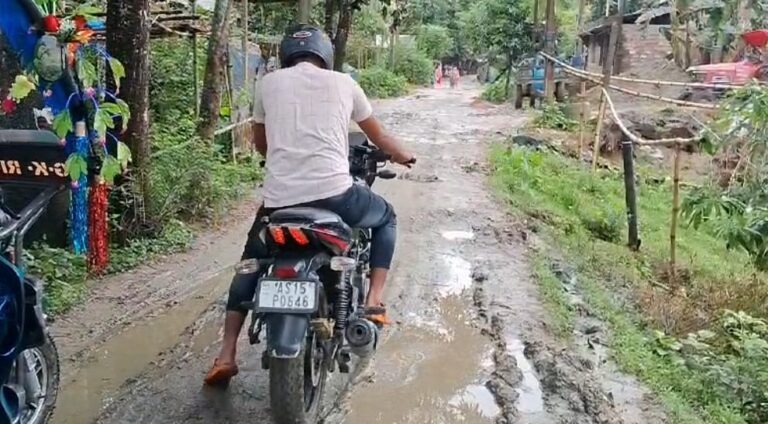 ধকুৱা – পালহাজী সংযোগী পথৰ দুৰৱস্থা