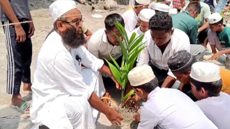 হেল্পিং চেন্টাৰ অসমৰ বৃক্ষৰোপন