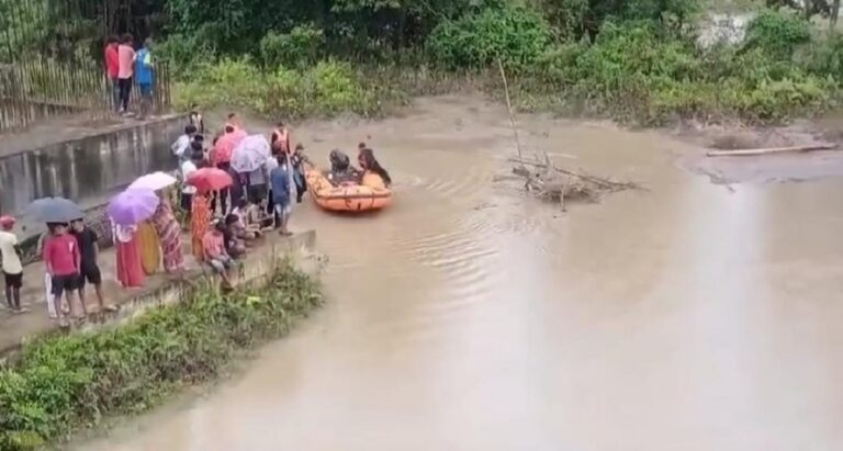 শিৱসাগৰত দলঙৰ ৰেলিং ভাঙি দিচাং নদীত পৰিল ১২ চকীয়া ট্ৰাক