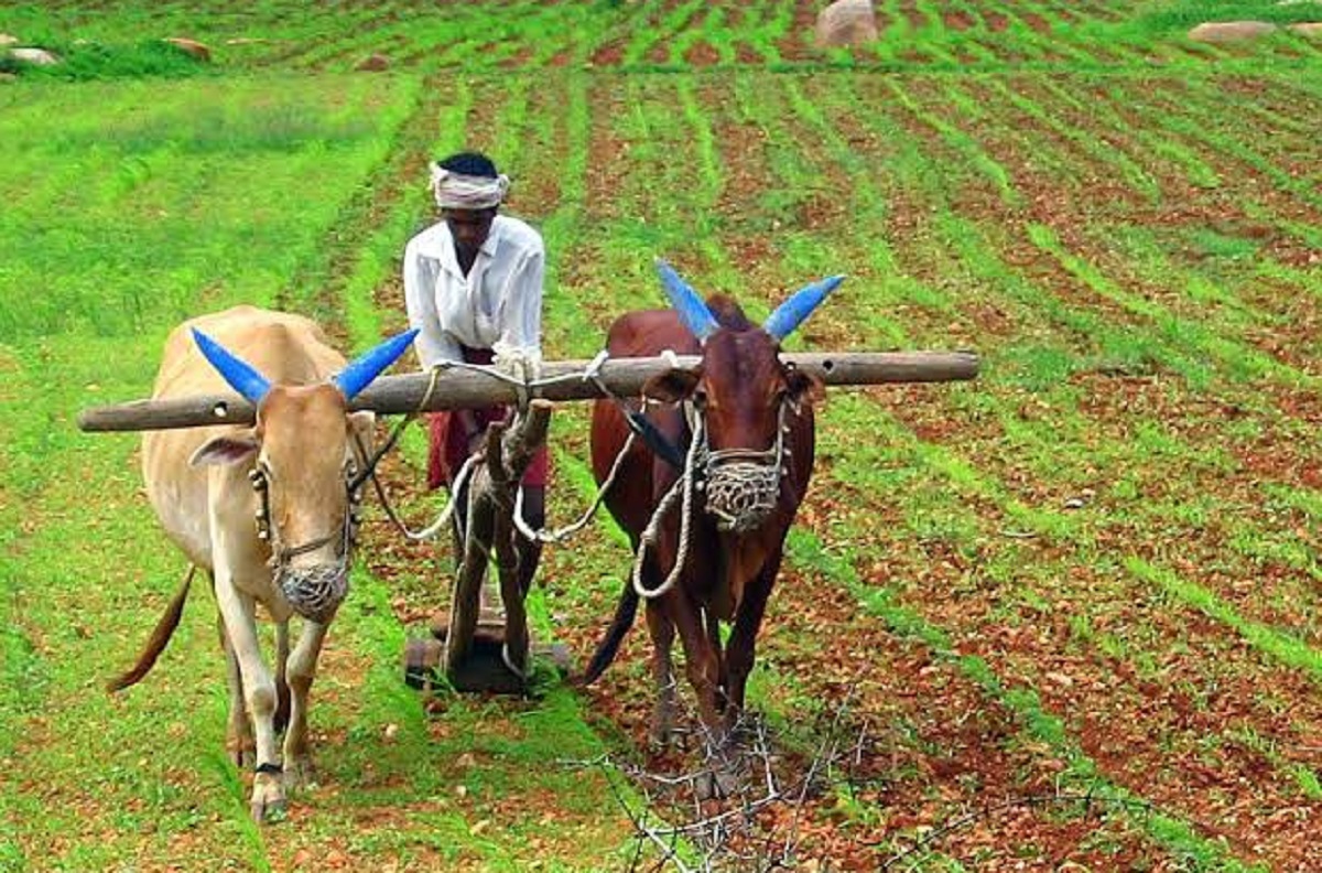 কৃষকে লাভ কৰিব গেৰাণ্টিবিহীন ২ লাখ টকালৈকে ঋণ