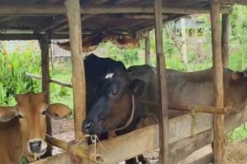 অসম আৰক্ষীৰ বৃহৎ সাফল্য
