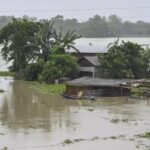 বানৰ কবলত ৰাজ্য