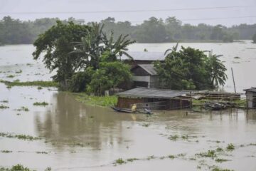 বানৰ কবলত ৰাজ্য