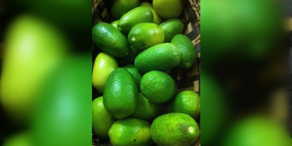 কাজি নেমু আপোনাৰো প্রিয় নেকি