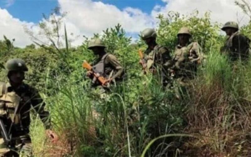 আছাম ৰাইফলছৰ গুলীত নিহত তিনিচুকীয়াৰ আলফা(স্বাঃ)ৰ এজন কেডাৰ