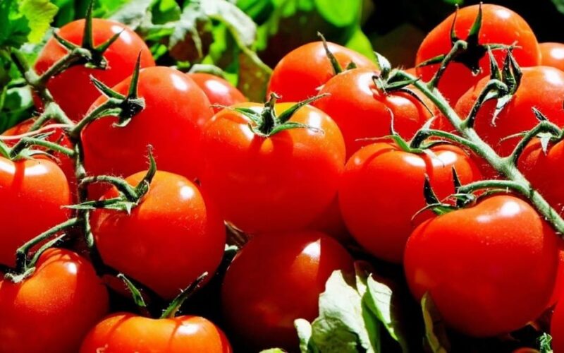 অতিমাত্ৰা বিলাহী খোৱাৰ ফলত হোৱা কিছুমান সমস্যা