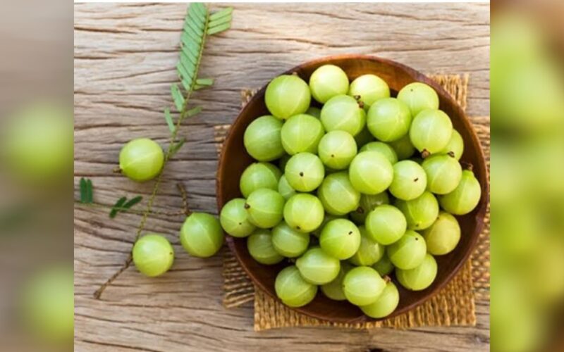 শীতকালত আমলখি খালে বহু উপকাৰ পোৱা যায়