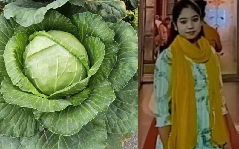 বন্ধাকবিত থকা ফিটা পলুৱে কাঢ়িলে প্ৰাণ! উত্তৰ প্ৰদেশত চাঞ্চল্যকৰ ঘটনা