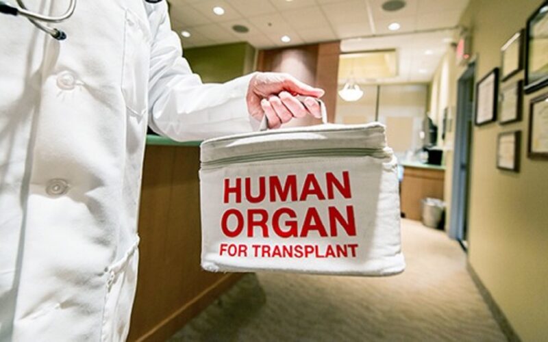 মৃত্যুৰ পাছতো ৫ জনক নতুন জীৱন দি গ’ল এগৰাকী কিশোৰীয়ে!