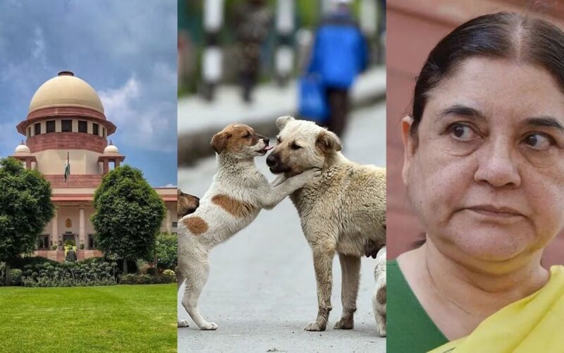 পশু অধিকাৰ কৰ্মী মেনকা গান্ধীক উচ্চতম ন্যায়ালয়ৰ কঠোৰ ভৰ্ত্সনা