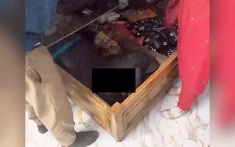 মহানগৰীত সংগীতা-ৱালিউল কাণ্ডৰ পুনৰাবৃত্তি! বক্স পালেঙৰ ভিতৰৰ পৰা উদ্ধাৰ বন কৰা কিশোৰী