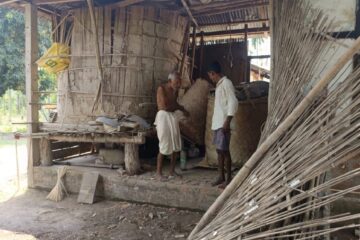 ৰাণীৰ খপেগাঁৱ আৰু বিক্ৰমপুৰত বন্যহস্তীৰ তাণ্ডৱ