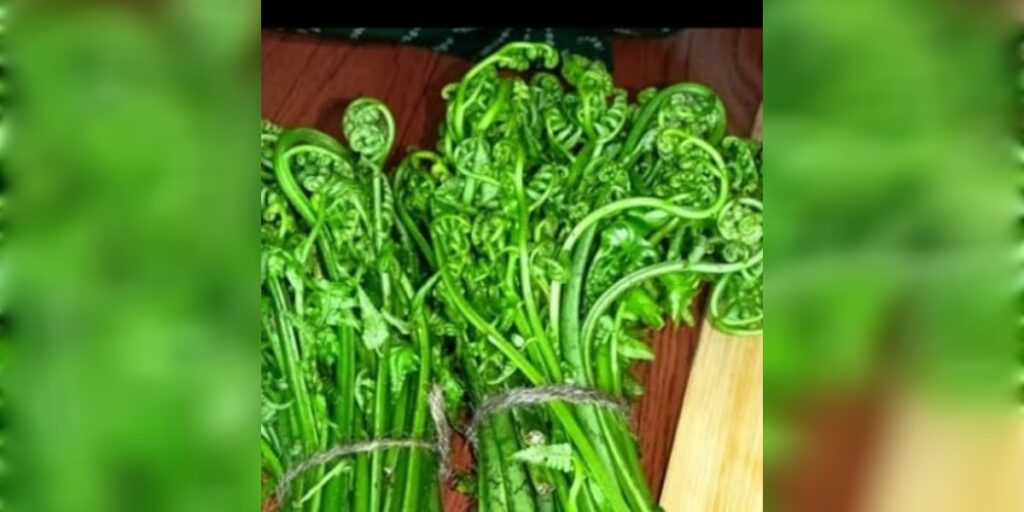 ঢেকীয়া শাকৰ উপকাৰী গুণৰ বিষয়ে জানেনে