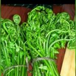 ঢেকীয়া শাকৰ উপকাৰী গুণৰ বিষয়ে জানেনে