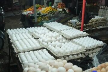 অসমৰ বজাৰত আকৌ বৃদ্ধি পালে কণীৰ মূল্য; প্ৰতিখন ক্ৰেটত ৩০ টকালৈকে মূল্য বৃদ্ধি