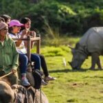 বেয়া বতৰৰ প্ৰভাৱঃ পবিতৰাত স্থগিত হাতী ছাফাৰী