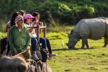বেয়া বতৰৰ প্ৰভাৱঃ পবিতৰাত স্থগিত হাতী ছাফাৰী