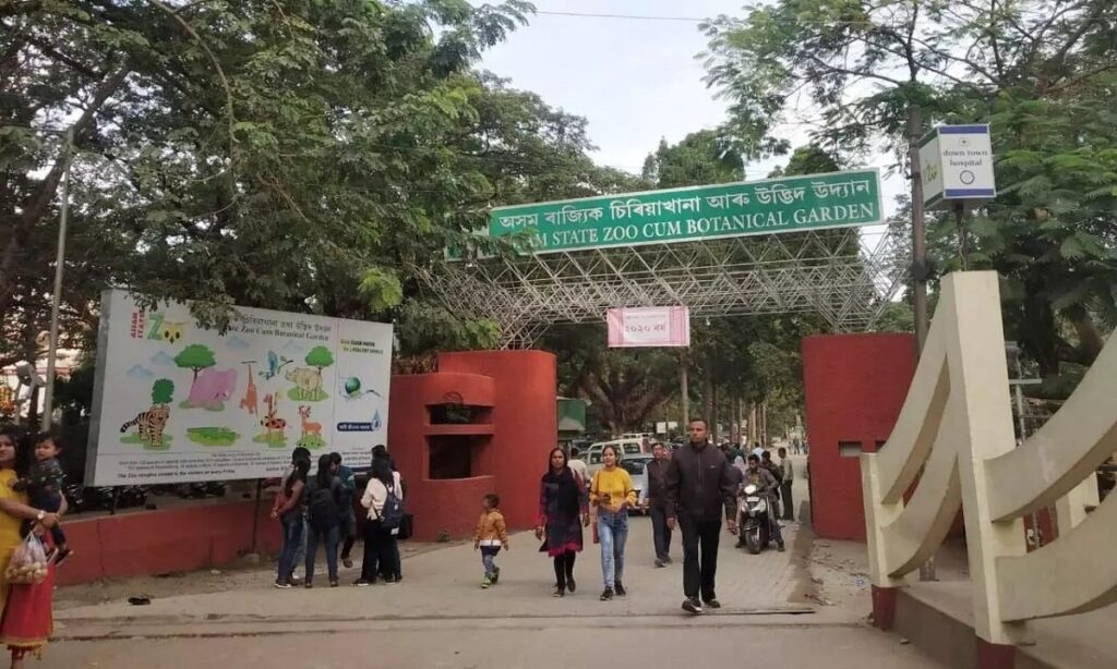 বৰ্ষাসিক্ত বতৰৰ মাজতো ৰাজ্যিক চিৰিয়াখানাত পৰ্যটকৰ ভিৰ; প্ৰতিদিনে আগমন দুই সহস্ৰাধিক পৰ্যটকক