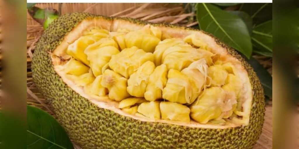 কঠালৰ উপকাৰিতা: স্বাস্থ্যৰ বাবে কিমান লাভজনক?