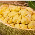 কঠালৰ উপকাৰিতা: স্বাস্থ্যৰ বাবে কিমান লাভজনক?