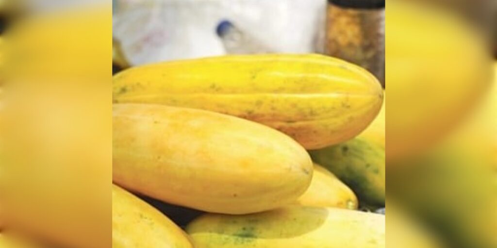 চিৰালৰ উপকাৰিতা