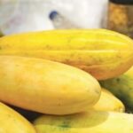 চিৰালৰ উপকাৰিতা