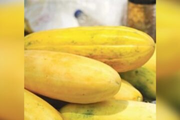 চিৰালৰ উপকাৰিতা