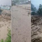 অৰুণাচল প্ৰদেশত বানৰ তাণ্ডৱ
