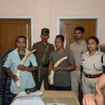 বকোত হাতীৰ দাঁতসহ দুজন আটক; অসম-মেঘালয় সীমান্তত বন বিভাগৰ অভিযান
