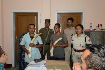 বকোত হাতীৰ দাঁতসহ দুজন আটক; অসম-মেঘালয় সীমান্তত বন বিভাগৰ অভিযান