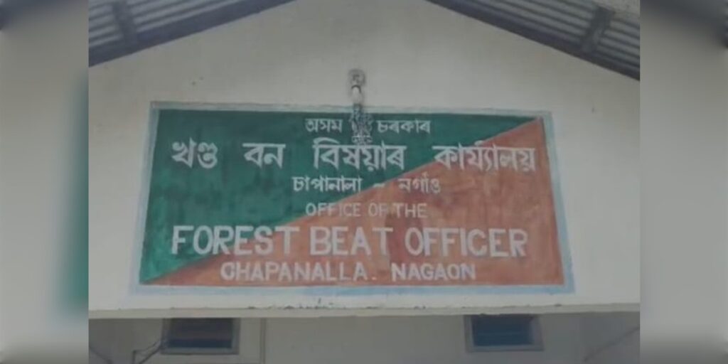 বন বিভাগৰ বৃহৎ অভিযান