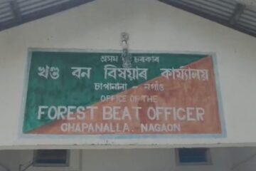 বন বিভাগৰ বৃহৎ অভিযান