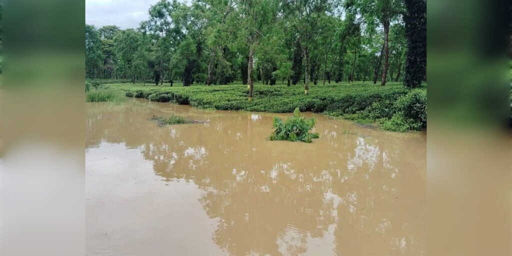 দিখৌ নদীৰ বানে ভয়াবহ ৰূপ ধাৰণ কৰিছে