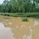 দিখৌ নদীৰ বানে ভয়াবহ ৰূপ ধাৰণ কৰিছে