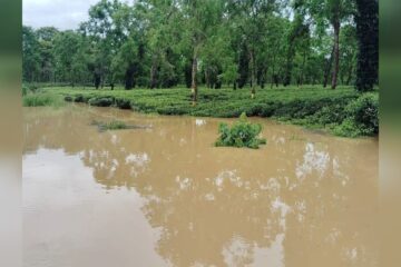 দিখৌ নদীৰ বানে ভয়াবহ ৰূপ ধাৰণ কৰিছে
