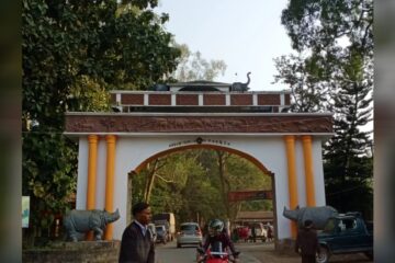 কাজিৰঙা ৰাষ্ট্ৰীয় উদ্যান কৰ্তৃপক্ষ সাম্ভাব্য বানৰ বাবে সাজু হৈ উঠিছে