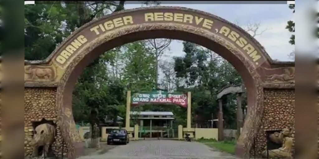 ওৰাং ৰাষ্ট্ৰীয় উদ্যানত সংঘটিত হৈছে এক অঘটন