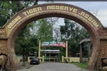 ওৰাং ৰাষ্ট্ৰীয় উদ্যানত সংঘটিত হৈছে এক অঘটন