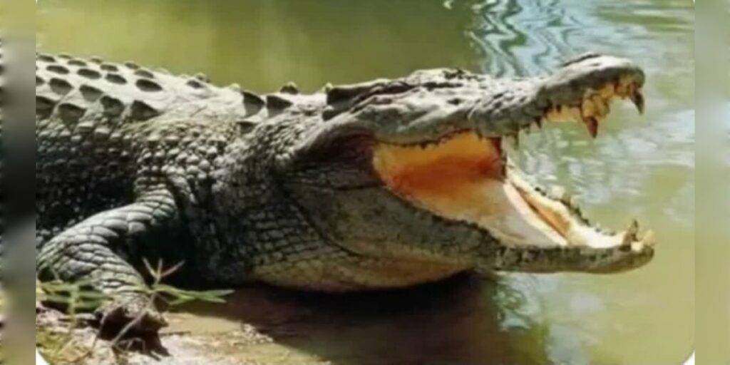 এক হৃদয় বিদাৰক ঘটনা