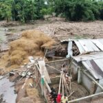 বানত মৃত্যু হোৱা লোকৰ সংখ্যা ৯৯ জনলৈ বৃদ্ধি