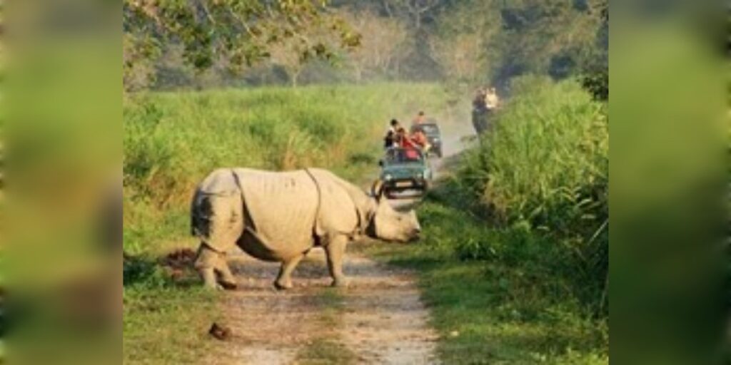 কাজিৰঙা ৰাষ্ট্ৰীয় উদ্যানত এতিয়া আপুনি উঠিব নোৱাৰিব ছেলফি