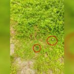 আছাম ৰাইফলছৰ শিবিৰত ধাৰাসাৰ গুলীবৰ্ষণ
