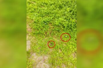 আছাম ৰাইফলছৰ শিবিৰত ধাৰাসাৰ গুলীবৰ্ষণ