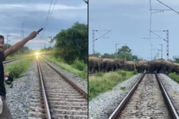 ৰে’লপথত হাতীৰ জাক! সতৰ্কতাৰ বাবে সুৰক্ষিতভাৱে ৰখাই দিয়া হ’ল ৰাজধানী এক্সপ্ৰেছ