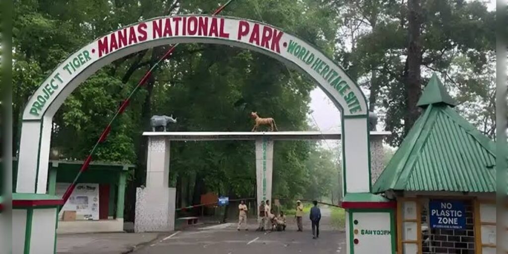২ অক্টোবৰৰ পৰা নতুন পৰ্যটন ঋতুৰ বাবে পৰ্যটকৰ বাবে পুনৰ মুকলি কৰা হ’ব মানস ৰাষ্ট্ৰীয় উদ্যান