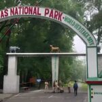 ২ অক্টোবৰৰ পৰা নতুন পৰ্যটন ঋতুৰ বাবে পৰ্যটকৰ বাবে পুনৰ মুকলি কৰা হ’ব মানস ৰাষ্ট্ৰীয় উদ্যান