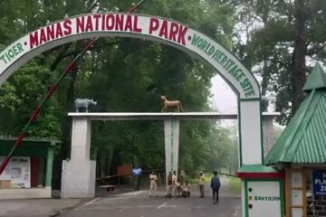 ২ অক্টোবৰৰ পৰা নতুন পৰ্যটন ঋতুৰ বাবে পৰ্যটকৰ বাবে পুনৰ মুকলি কৰা হ’ব মানস ৰাষ্ট্ৰীয় উদ্যান