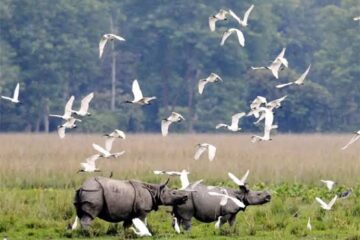 স্বতন্ত্ৰ অধ্যয়ন নোহোৱালৈকে ১০ কিমি বাফাৰ বাহাল ৰাখিব লাগে: বালিপাৰা ফাউণ্ডেশ্যনৰ আহ্বান