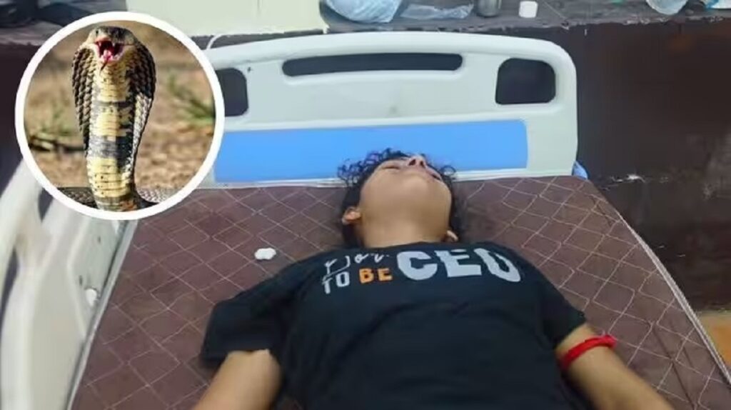 ডেৰ মাহত ৮ বাৰ সৰ্পদংশনৰ বলি ছাত্ৰী! হাথৰছৰ এটা পৰিয়ালত আতংকৰ সৃষ্টি এডাল সাপৰ